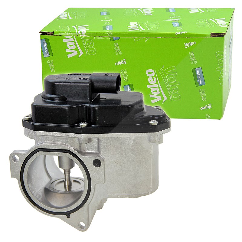 Valeo AGR-Ventil [Hersteller-Nr. 700424] für Dodge, Skoda, VW, Seat, Jeep, Audi