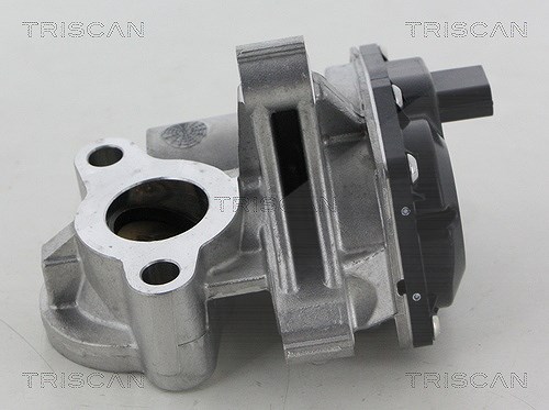 Triscan AGR-Ventil [Hersteller-Nr. 881325041] für Mercedes-Benz, Renault, Opel