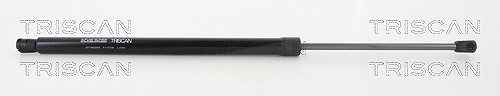 Triscan Gasfeder, Koffer-/Laderaum [Hersteller-Nr. 871043240] für Hyundai