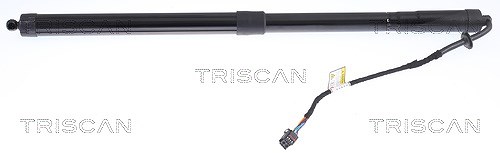 Triscan Gasfeder, Koffer-/Laderaum [Hersteller-Nr. 871017304] für Land Rover