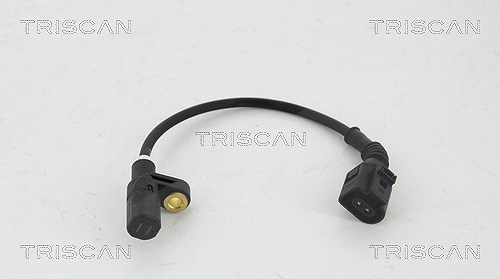 Triscan ABS Sensor Hinterachse [Hersteller-Nr. 818029233] für Seat, VW, Skoda, Audi