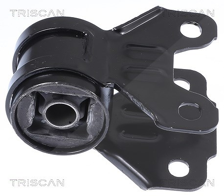 Triscan Lagerung, Lenker [Hersteller-Nr. 850016881] für Ford