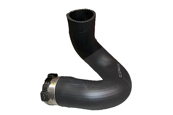 Bugiad Ladeluftschlauch [Hersteller-Nr. 81724] für Alfa Romeo