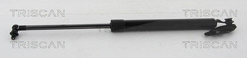 Triscan Gasfeder, Koffer-/Laderaum [Hersteller-Nr. 871013290] für Toyota