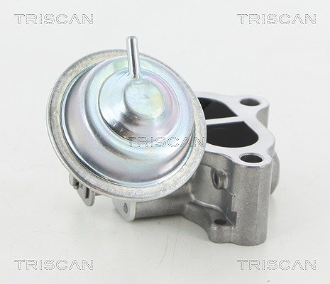 Triscan AGR-Ventil [Hersteller-Nr. 881313065] für Toyota
