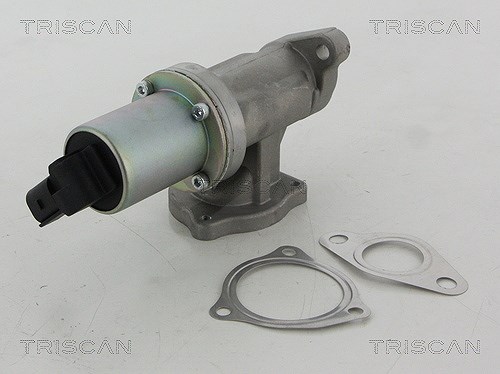 Triscan AGR-Ventil [Hersteller-Nr. 881343100] für Hyundai