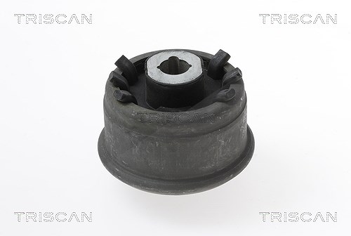 Triscan Lagerung, Lenker [Hersteller-Nr. 850025864] für Renault