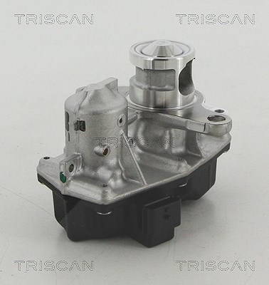 Triscan AGR-Ventil [Hersteller-Nr. 881325042] für Opel, Renault, Nissan, Mercedes-Benz, Vauxhall, Fiat