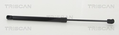 Triscan Gasfeder, Koffer-/Laderaum [Hersteller-Nr. 871043246] für Hyundai