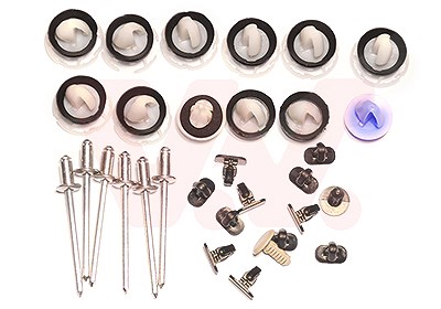 Van Wezel Montagesatz, Tür [Hersteller-Nr. 4068799] für Peugeot