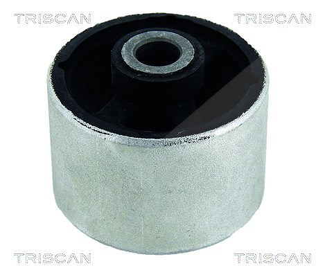 Triscan Lagerung, Lenker [Hersteller-Nr. 850025830] für Renault