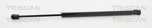 Triscan Gasfeder, Koffer-/Laderaum [Hersteller-Nr. 871043238] für Hyundai