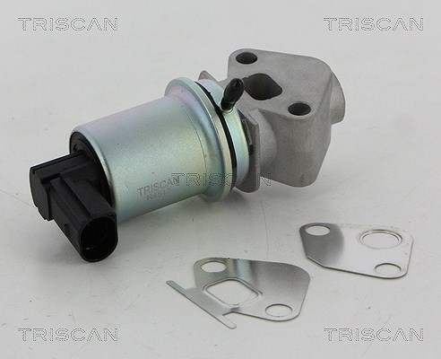 Triscan AGR-Ventil [Hersteller-Nr. 881329066] für VW, Seat, Audi
