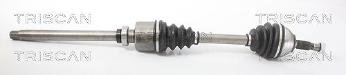 Triscan Antriebswelle [Hersteller-Nr. 854028685] für Peugeot