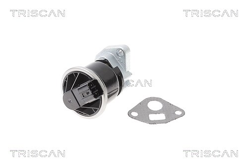 Triscan AGR-Ventil [Hersteller-Nr. 881340013] für Honda