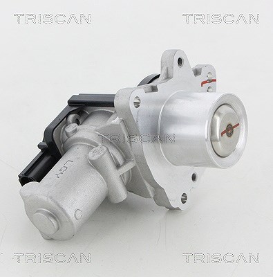 Triscan AGR-Ventil [Hersteller-Nr. 881318045] für Kia, Hyundai