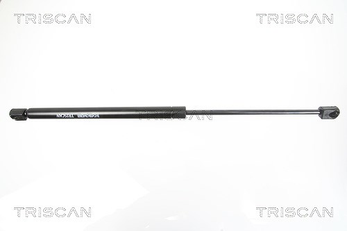 Triscan Gasfeder, Heckscheibe [Hersteller-Nr. 871016251] für Ford