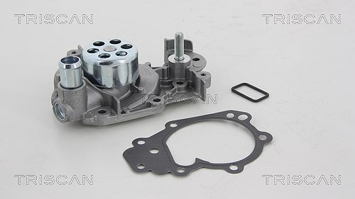 Triscan Wasserpumpe [Hersteller-Nr. 860025019] für Dacia, Renault