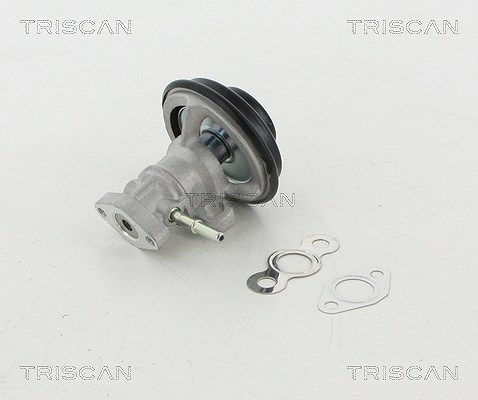 Triscan AGR-Ventil [Hersteller-Nr. 881313030] für Toyota