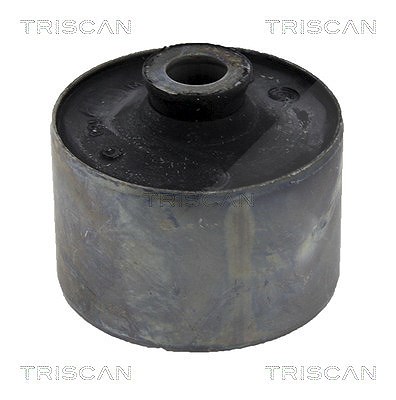 Triscan Lagerung, Achskörper [Hersteller-Nr. 850010846] für Nissan, Renault, Opel
