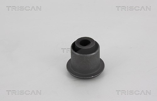 Triscan Lagerung, Lenker [Hersteller-Nr. 850025823] für Renault