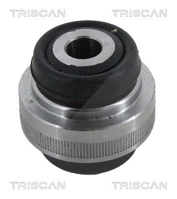 Triscan Lagerung, Lenker [Hersteller-Nr. 850028875] für Peugeot, Ds