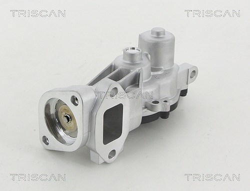 Triscan AGR-Ventil [Hersteller-Nr. 881324040] für Vauxhall, Opel, Chevrolet