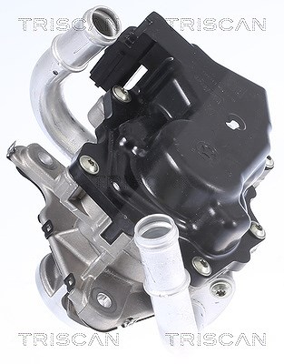 Triscan AGR-Ventil [Hersteller-Nr. 881329058] für VW, Audi, Seat, Skoda