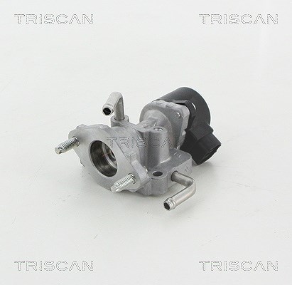 Triscan AGR-Ventil [Hersteller-Nr. 881313059] für Lexus, Toyota