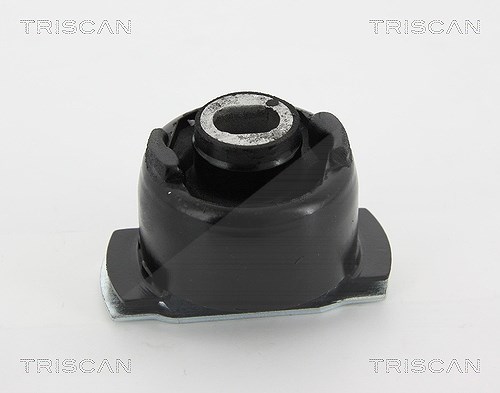 Triscan Lagerung, Achskörper [Hersteller-Nr. 850025822] für Renault