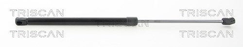 Triscan Gasfeder, Koffer-/Laderaum [Hersteller-Nr. 871043241] für Hyundai