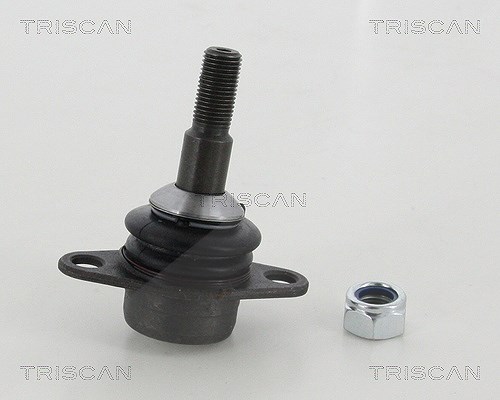 Triscan Trag-/Führungsgelenk [Hersteller-Nr. 8500115053] für BMW