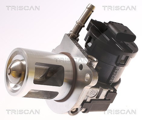 Triscan AGR-Ventil [Hersteller-Nr. 881323018] für Mercedes-Benz