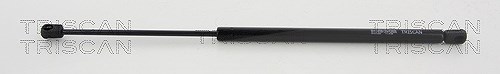 Triscan Gasfeder, Koffer-/Laderaum [Hersteller-Nr. 871044203] für Ssangyong