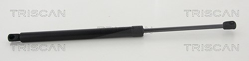 Triscan Gasfeder, Koffer-/Laderaum [Hersteller-Nr. 871043245] für Hyundai