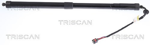 Triscan Gasfeder, Koffer-/Laderaum [Hersteller-Nr. 871017305] für Land Rover