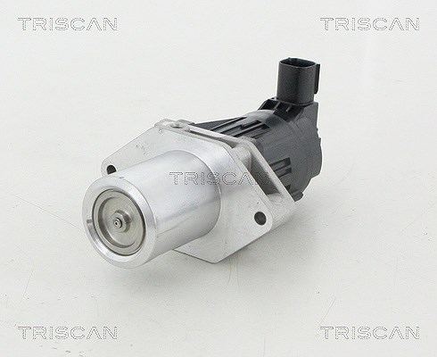 Triscan AGR-Ventil [Hersteller-Nr. 881324209] für Opel, Vauxhall