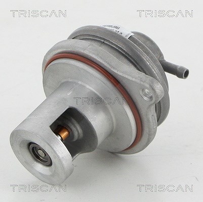 Triscan AGR-Ventil [Hersteller-Nr. 881323017] für Smart, Mercedes-Benz