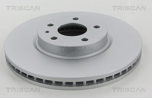Triscan Bremsscheibe [Hersteller-Nr. 812016174C] für Ford