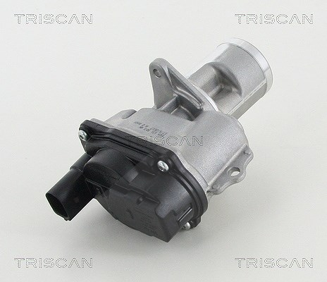 Triscan AGR-Ventil [Hersteller-Nr. 881329065] für VW, Porsche, Audi