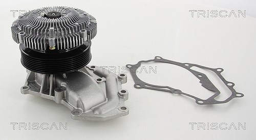 Triscan Wasserpumpe [Hersteller-Nr. 860014020] für Nissan
