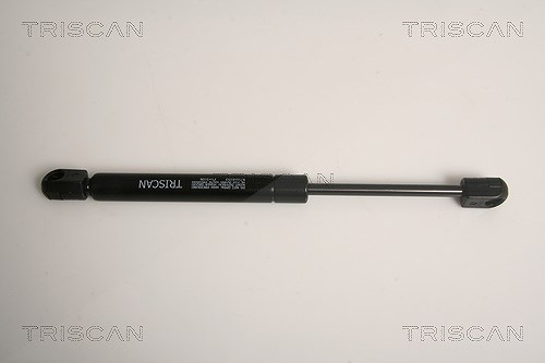 Triscan Gasfeder, Koffer-/Laderaum [Hersteller-Nr. 871016253] für Ford