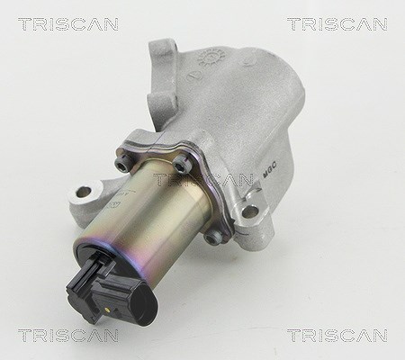 Triscan AGR-Ventil [Hersteller-Nr. 881344009] für Ssangyong