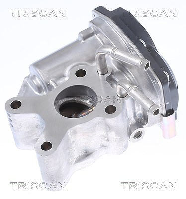 Triscan AGR-Ventil [Hersteller-Nr. 881314015] für Nissan
