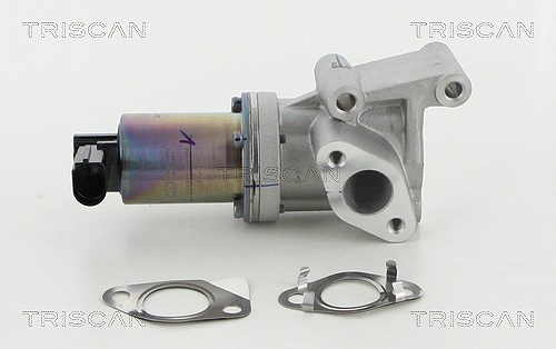 Triscan AGR-Ventil [Hersteller-Nr. 881318038] für Kia, Hyundai