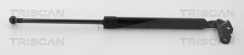 Triscan Gasfeder, Koffer-/Laderaum [Hersteller-Nr. 871013291] für Toyota