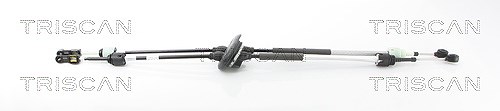 Triscan Seilzug, Schaltgetriebe [Hersteller-Nr. 814038706] für Citroën