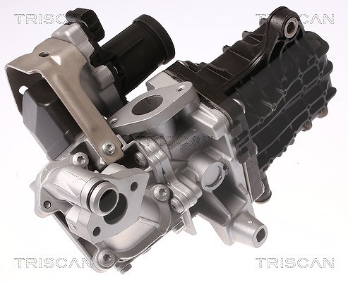 Triscan AGR-Ventil [Hersteller-Nr. 881328046] für Ds, Ford Usa, Citroën, Opel, Ford, Peugeot, Vauxhall