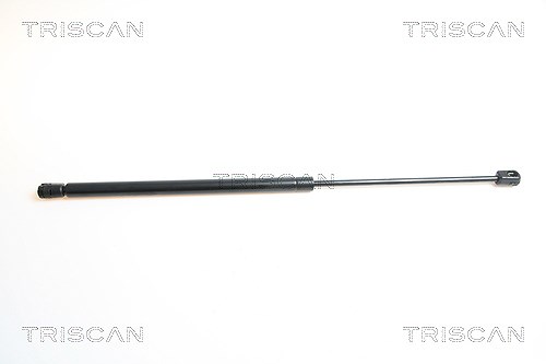 Triscan Gasfeder, Koffer-/Laderaum [Hersteller-Nr. 871042224] für Mitsubishi