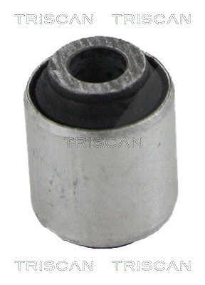 Triscan Lagerung, Lenker [Hersteller-Nr. 850010874] für Nissan, Renault